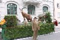 IMG 1589